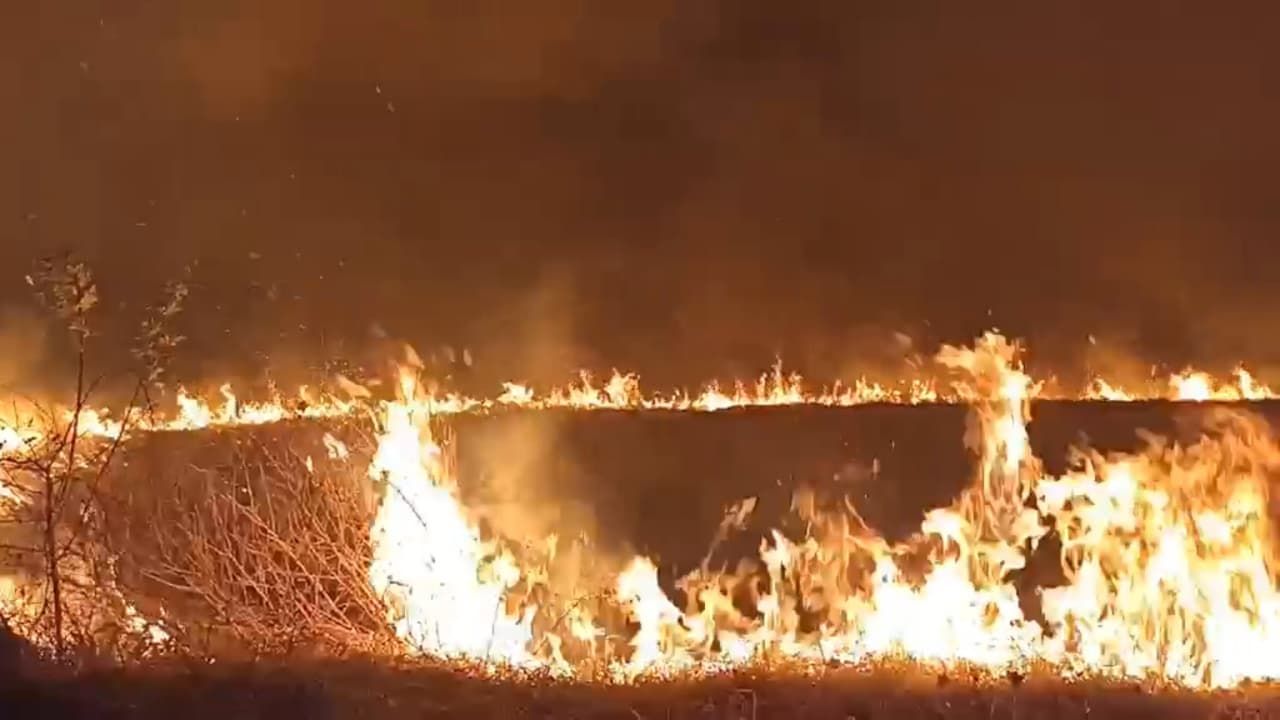 В ночь на понедельник на объездной дороге в Глодянах вспыхнул пожар.