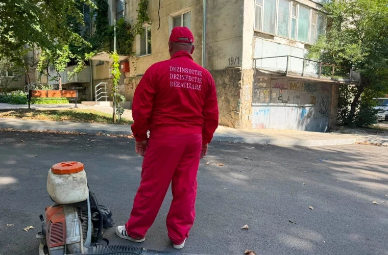 Тысячи подвалов в столице обработаны от насекомых и грызунов.