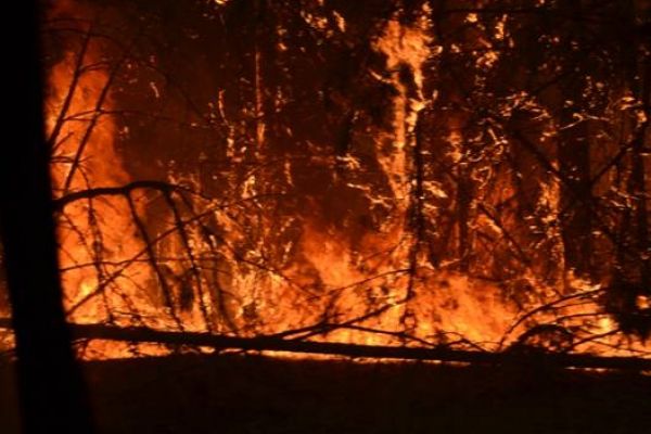 Autoritatile ucrainene au instituit stare de alerta in zona, trimitand sute de pompieri si avioane pentru stingerea incendiului de vegetatie.