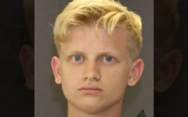 Un adolescent şi-a împuşcat mama pentru că nu i-a permis să păstreze un căţeluş.
