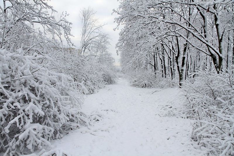 Astăzi, 31 ianuarie, valorile maxime de temperatură vor fi cuprinse între -11 și -16°C.