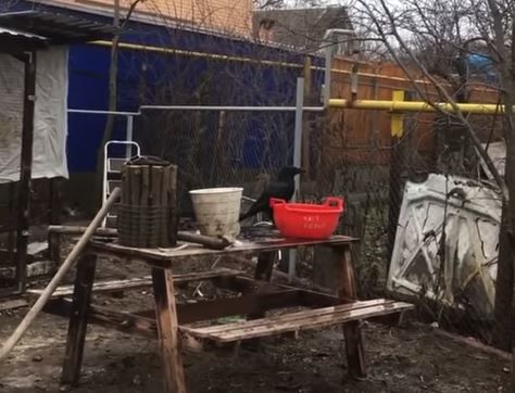 Гриша идёт купаться, когда девушка его заверяет, что на него никто не смотрит.