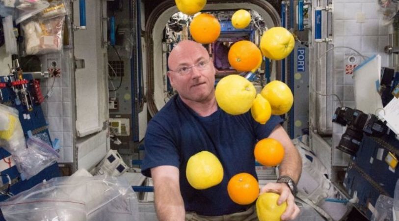 Астронавт NASA дал три совета, как справиться с самоизоляцией.