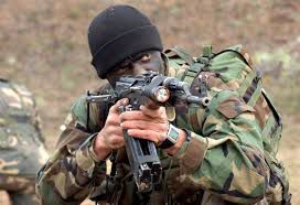 La aplicaţii au participat peste 300 de militari. Foto: flickr.com