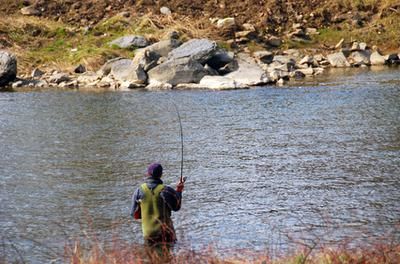 În lacul de acumulare Cuciurgan, nu se va putea pescui de la 25 martie până la 31 mai inclusiv.