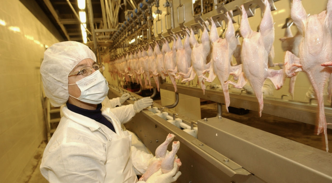 Moldova și Ucraina au aprobat certificatele pentru importul de carne de pasăre și furaje.