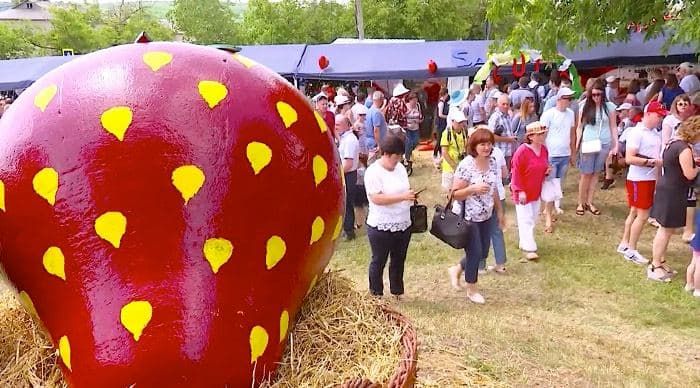 В Садово состоится фестиваль клубники.