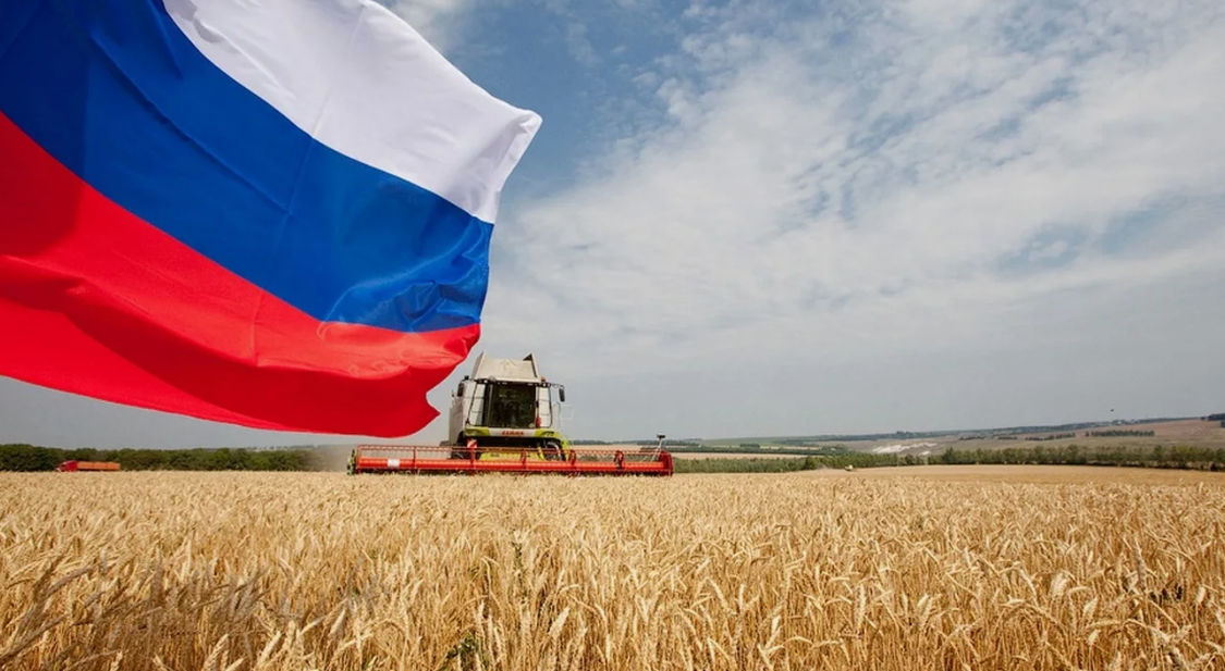 Евросовет одобрил пошлины на сельхозтовары из РФ и Беларуси.