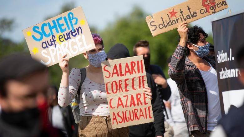 Сотни граждан Румынии в разгар пандемии отправились в Германию на сезонные работы. 