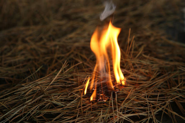 O femeie din Florești, amendată cu 300 lei: Fiul ei a provocat un incendiu.