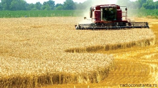Start depunerii dosarelor pentru obţinerea subvenţiilor în agricultură. Foto: radioconstanta.ro