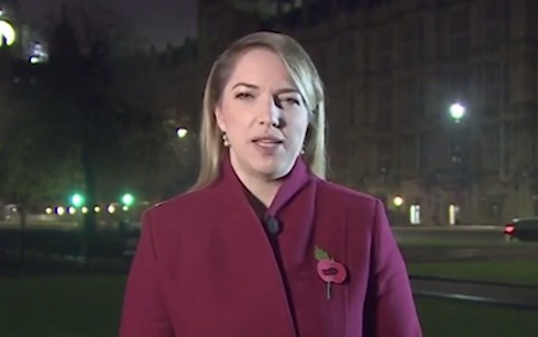 Live-ul unui corespondent BBC, întrerupt de sunete erotice. Foto: captură video
