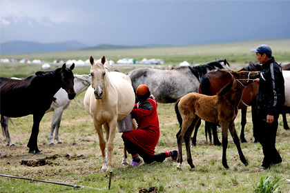 По слухам, чупакабра нападает на различных животных. Фото: Reuters