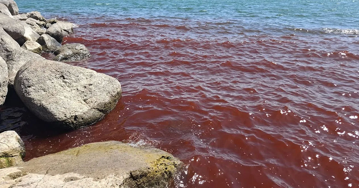 Галилейское море стало красным, напугав людей.