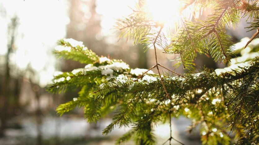 Meteorologii avertizează: Început de iarnă cu temperaturi peste normă.