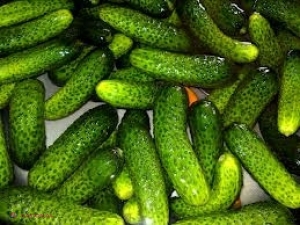 Primul lot de castraveţi şi varză au fost exportate ieri în Uniunea Europeană. Legumele au fost testate de specialiştii germani.