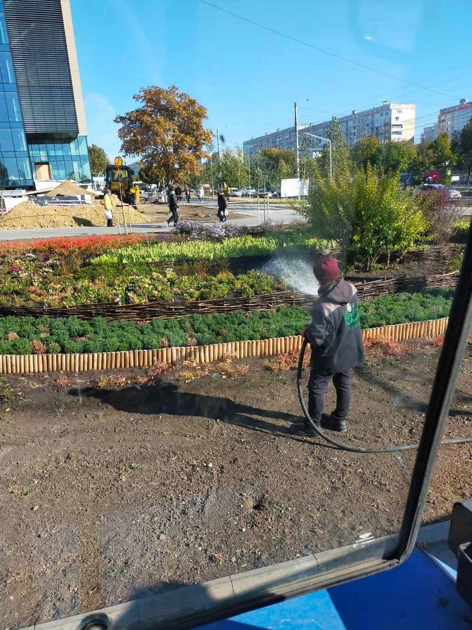 В Кишиневе этой осенью высадят более 10 тысяч хризантем разных цветов.