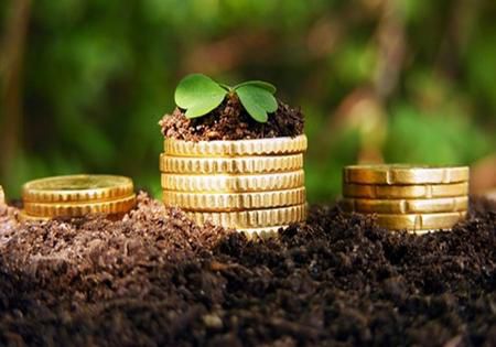 S-a modificat modalitatea de acordare a subvenţiilor pentru agricultori. 