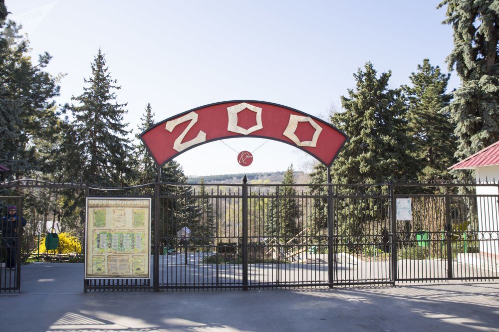 В кишиневском зоопарке отремонтирована главная лестница.