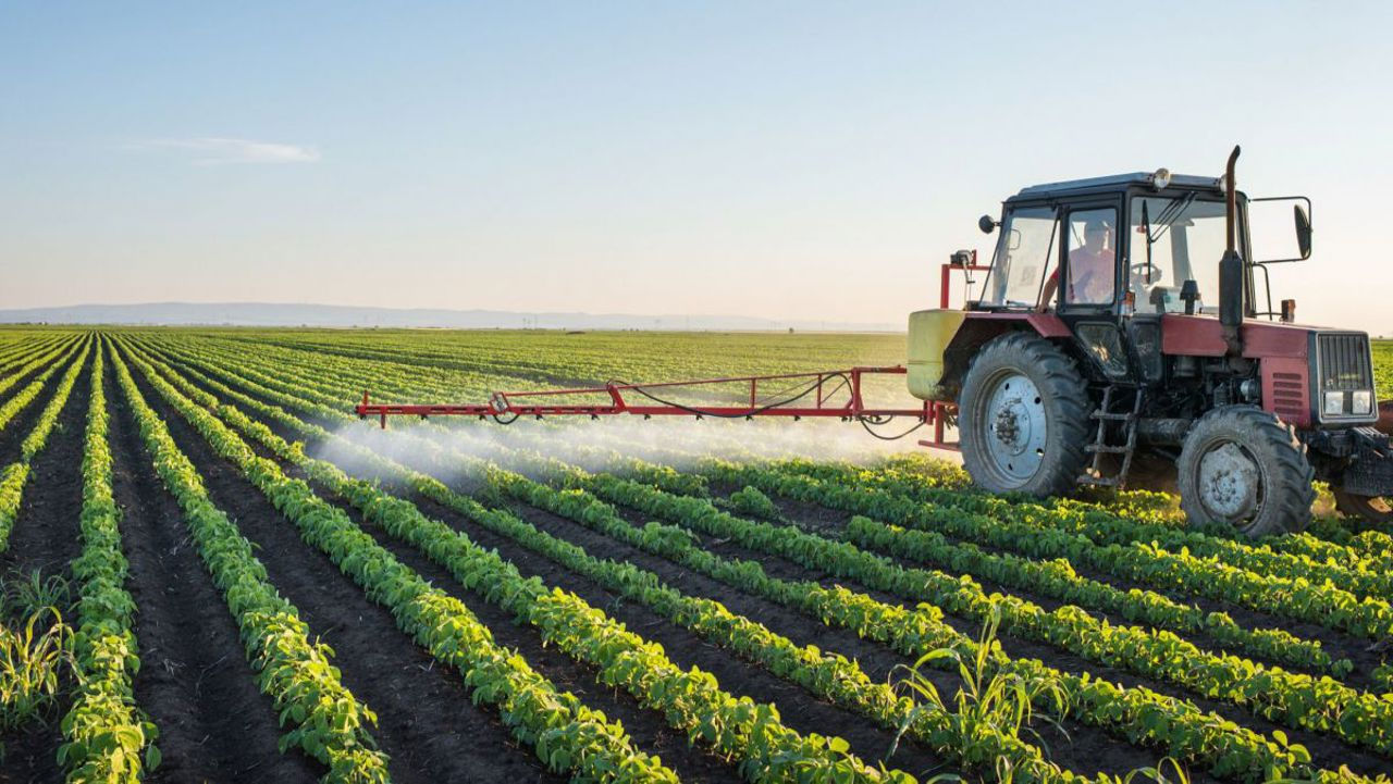 Zeci de agricultori din nordul R. Moldova solicită instituțiilor bancare prelungirea obligațiilor de plată.