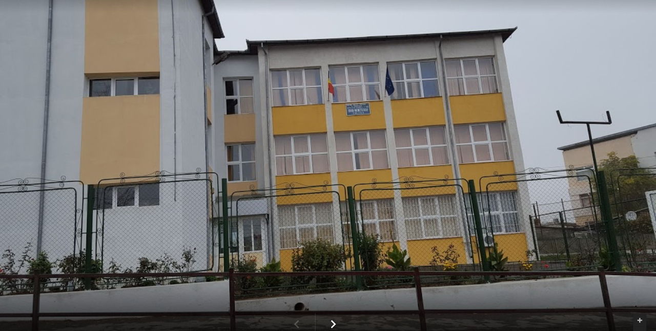 В Румынии мать обиженной ученицы напала на юношу и учителя.