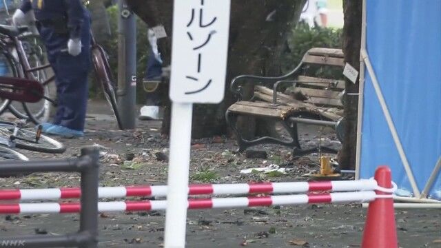 Взрывы в Японии устроил совершавший самоубийство пенсионер.