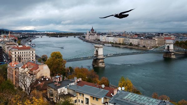 Посол США призвал Венгрию не блокировать сотрудничество Украины и НАТО.