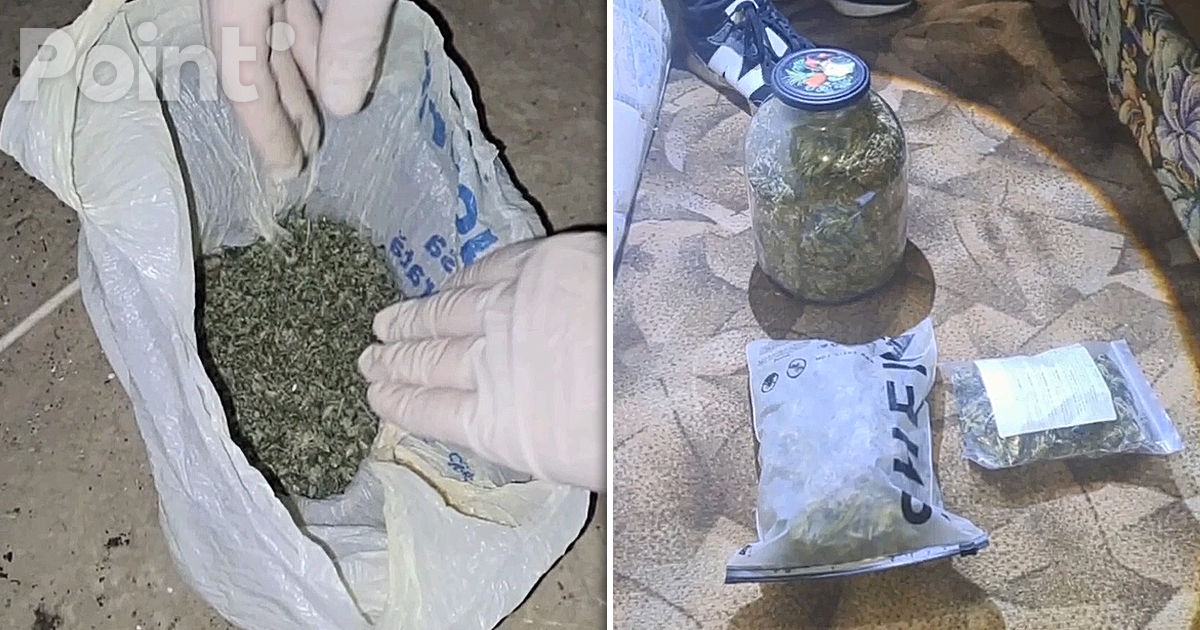 O rețea de trafic de droguri, deconspirată în sudul Moldovei: Marijuana de jumătate de milion de lei, confiscată.