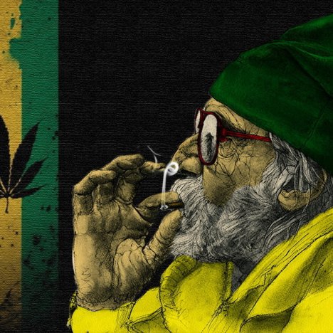 На днях в провинции Нью-Брансуик (Канада) на территории дома престарелых "Forever Young" полиция обнаружила 550 кустов марихуаны. Фото: Одвести