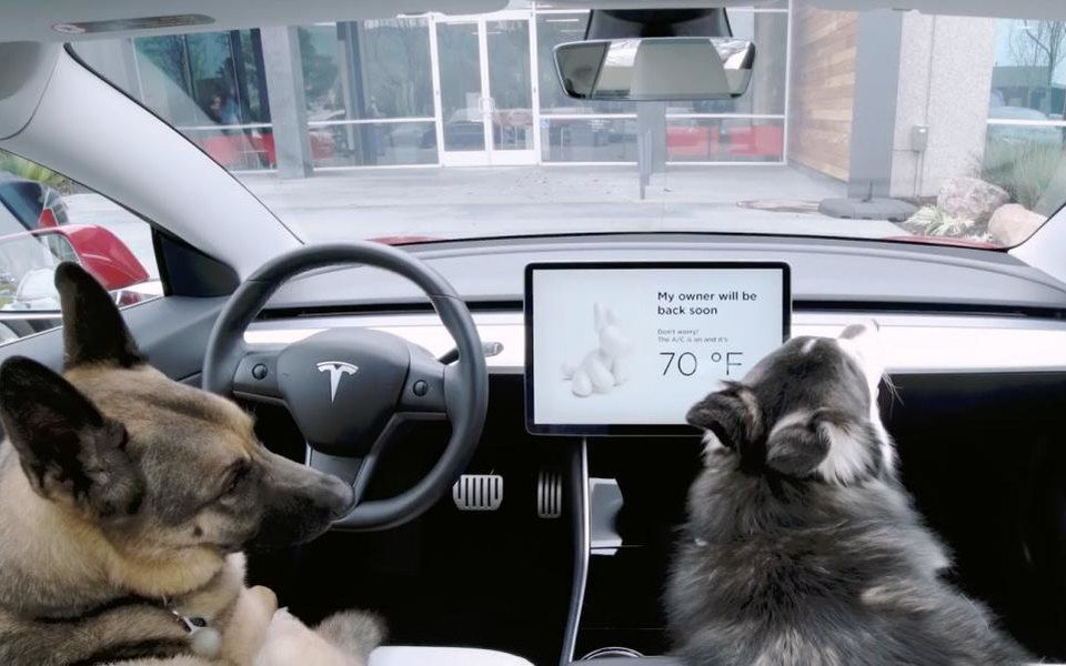 Новый режим Dog Mode фактически является расширенной версией функции Cabin Overheat Protection.