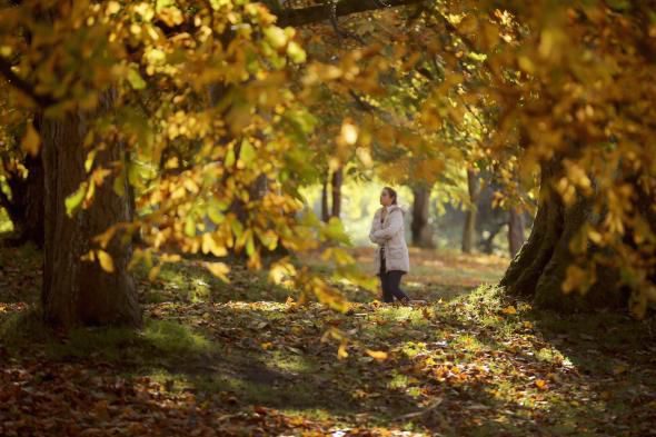 Prognoza meteo: Vine frigul. Cum va fi vremea astăzi. Foto: digi24.ro