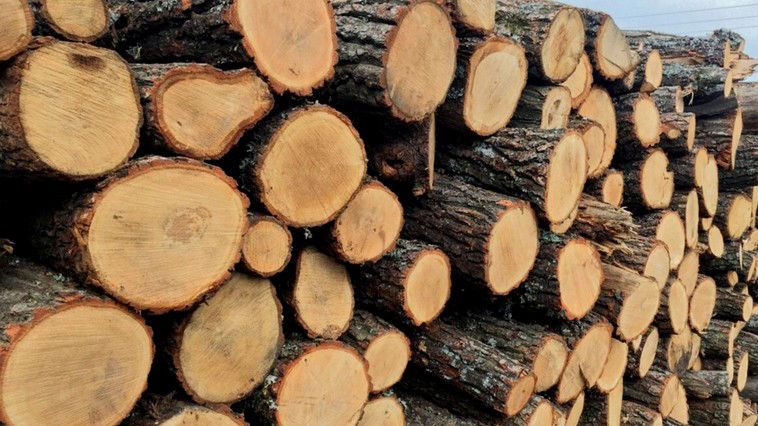 Лимит продажи дров населению увеличен с 3 до 5 складометров.