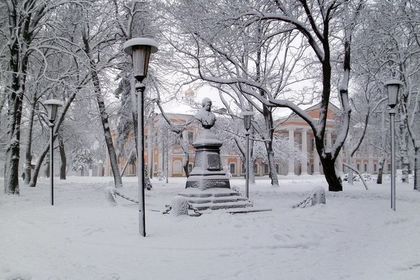 Украинцы украли стоявший с царских времен бюст Пушкина.