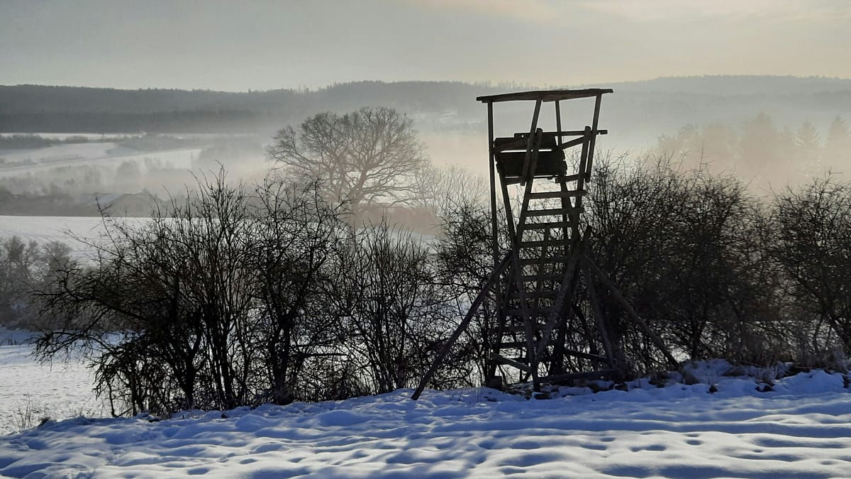 În Germania a venit iarna geroasă, cu temperaturi de sub zero grade.