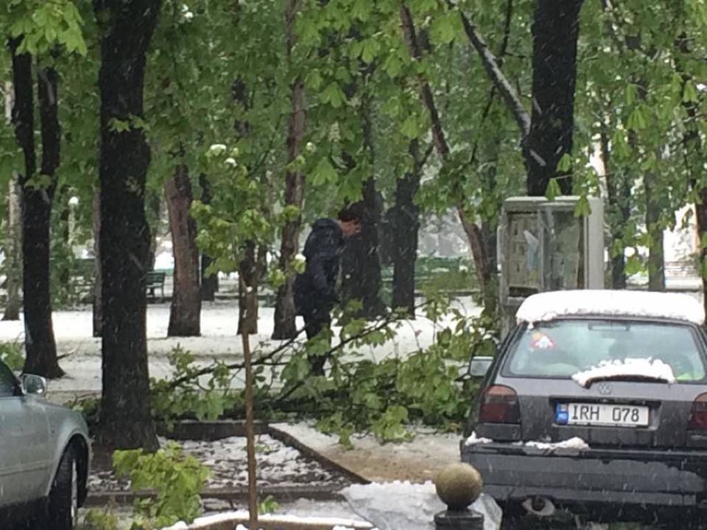 Chirtoacă comentează imaginile în care a fost surprins curățând trotuarele de crengi rupte. 