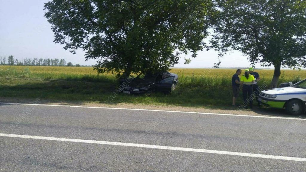 В Дубоссарах пьяный водитель едва не погиб, врезавшись в дерево.