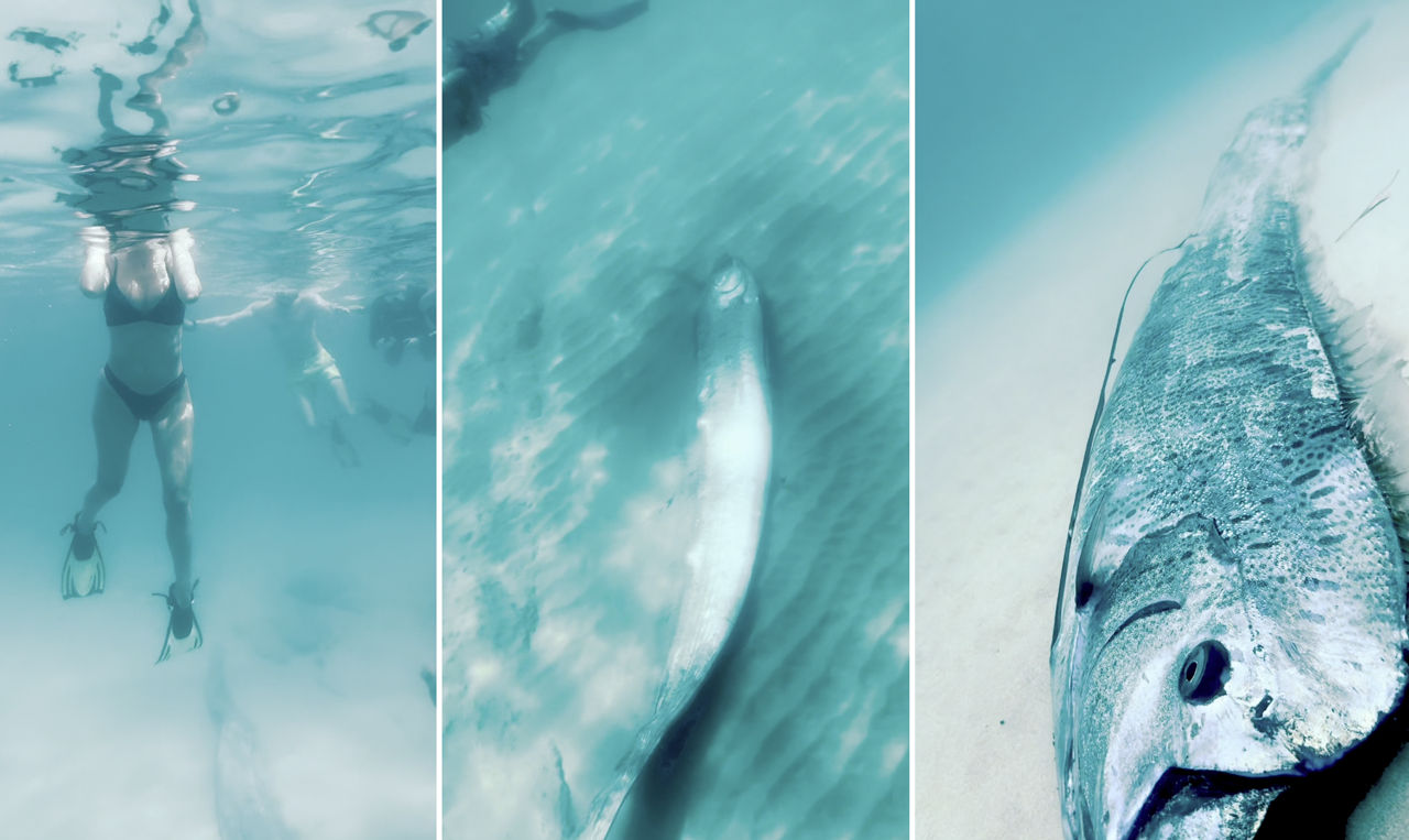 Молдавские дайверы столкнулись у берегов Мексики с рыбой Судного дня.