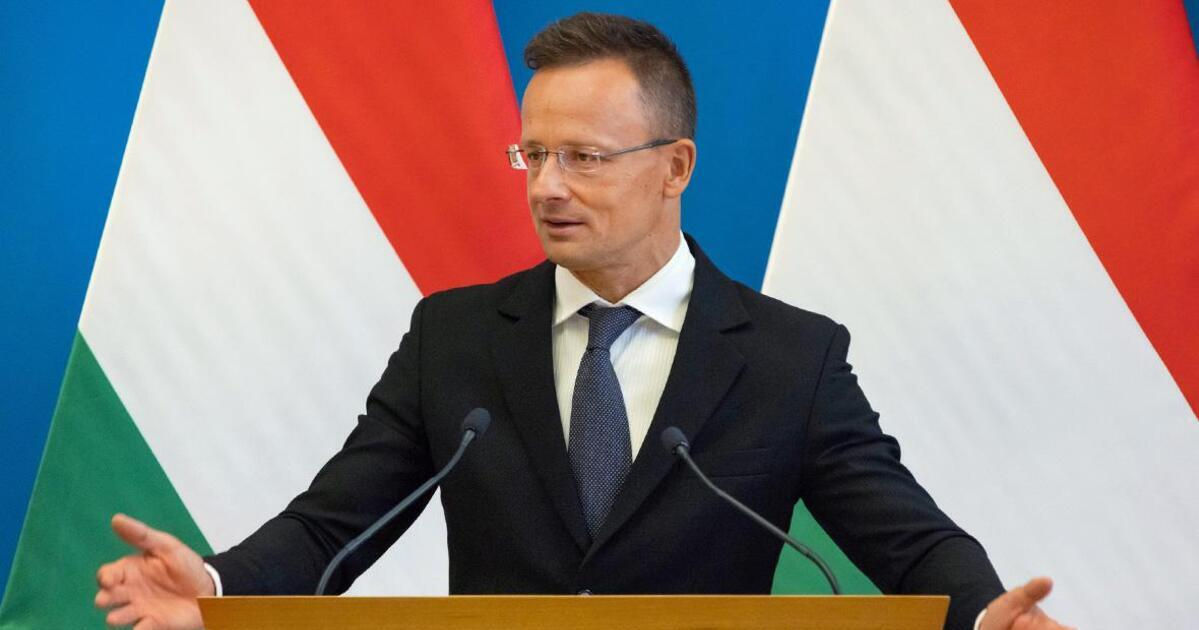 Глава МИД Венгрии допустил увеличение объема поставок российского газа.