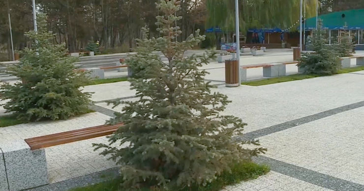 Высаженные год назад в столичном парке "Ла Извор" ели не прижились.