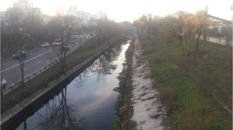 Apa râului Bâc s-a colorat în verde: Termoelectrica susține că nu e motiv de panică.