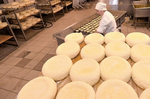 Эстония тонет в излишках сыра: срочно нужно продать 8000 тонн.