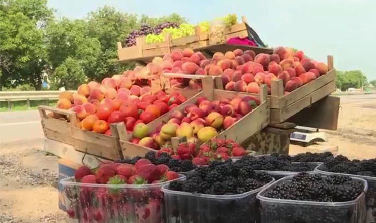 До первого сентября правоохранители будут патрулировать трассы и выявлять незаконных торговцев на обочинах дорог.
