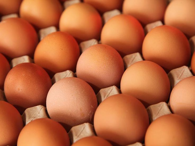 Ouă moldovenești, exportate în Siria, Irak și Turcia
