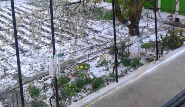 Ieri, în prima zi de Blajini, în mai multe localităţi din ţară au căzut ploi puternice, iar unele regiuni au fost lovite de grindină. Mai mult, în raionul Călăraşi chiar a fulguit.