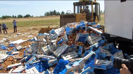 Peste 7,5 tone de fructe și legume  incluse pe lista cu sancţiuni a Rusiei au fost distruse în ultimul an. Foto: Captură video youtube