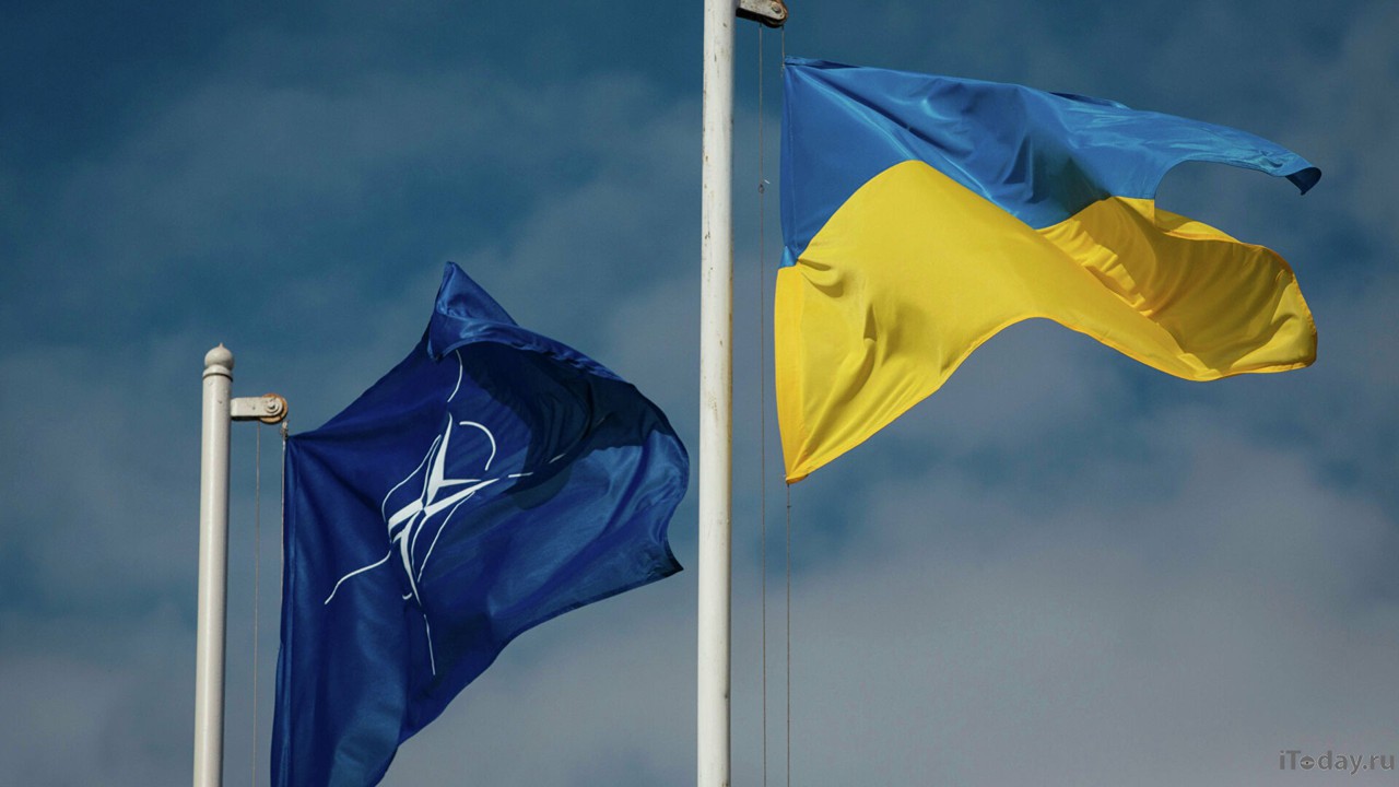 Большинство немцев не поддерживают вступление Украины в НАТО.