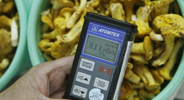 Urme de cesiu radioactiv în ciupercile importate din Rusia