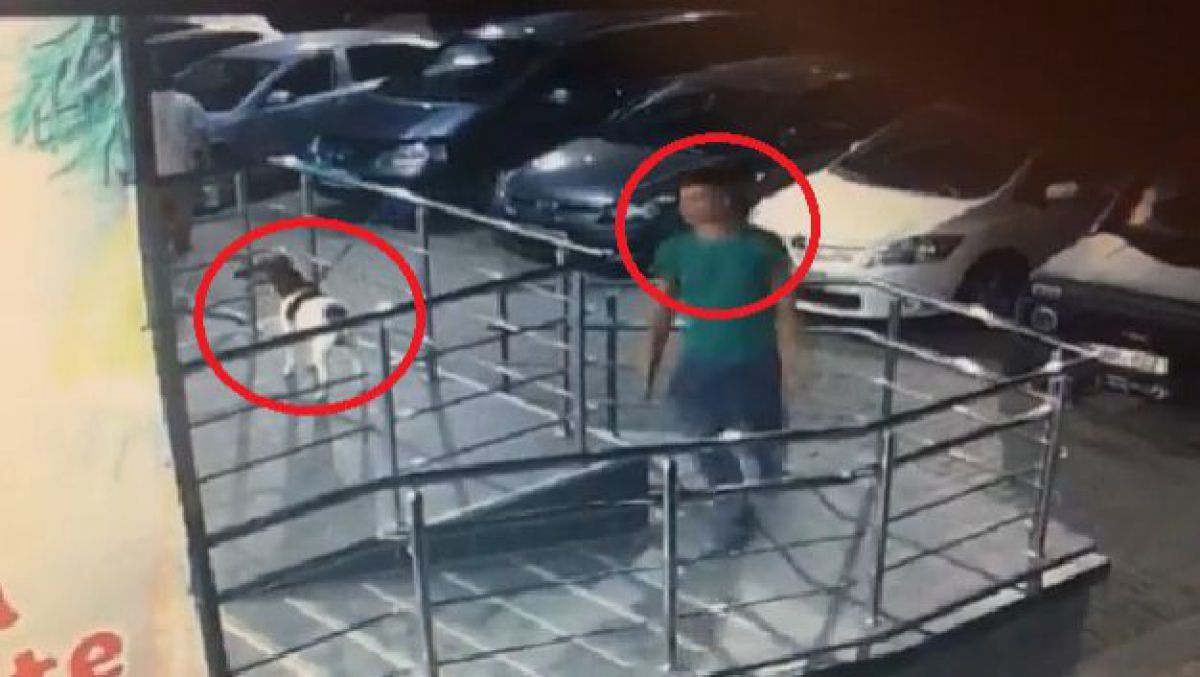 Мужчина подошел к собаке, которая ждала своего хозяина у входа в супермаркет, и увел ее в неизвестном направлении. Фото: agora.md.