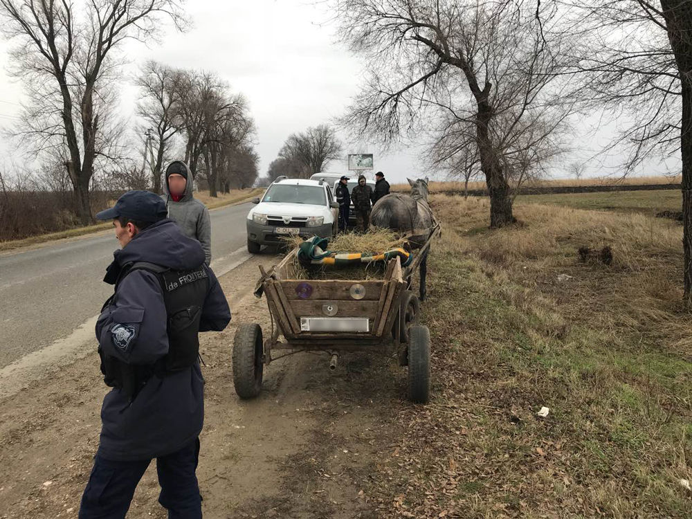Trei moldoveni, cercetați pentru uz de fals în acte și braconaj