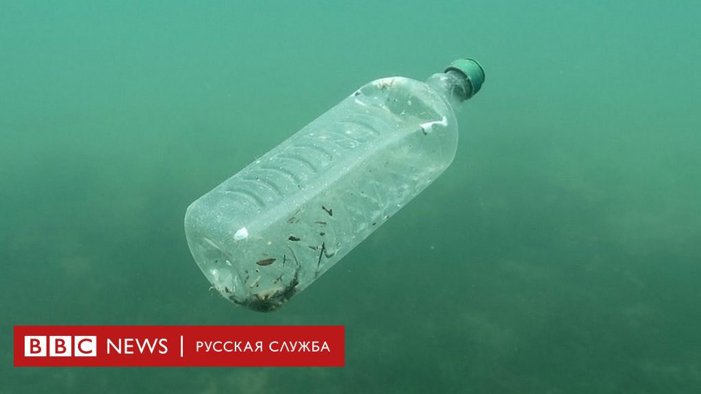 В Заполярье и Альпах обнаружены микробы, разлагающие пластик.